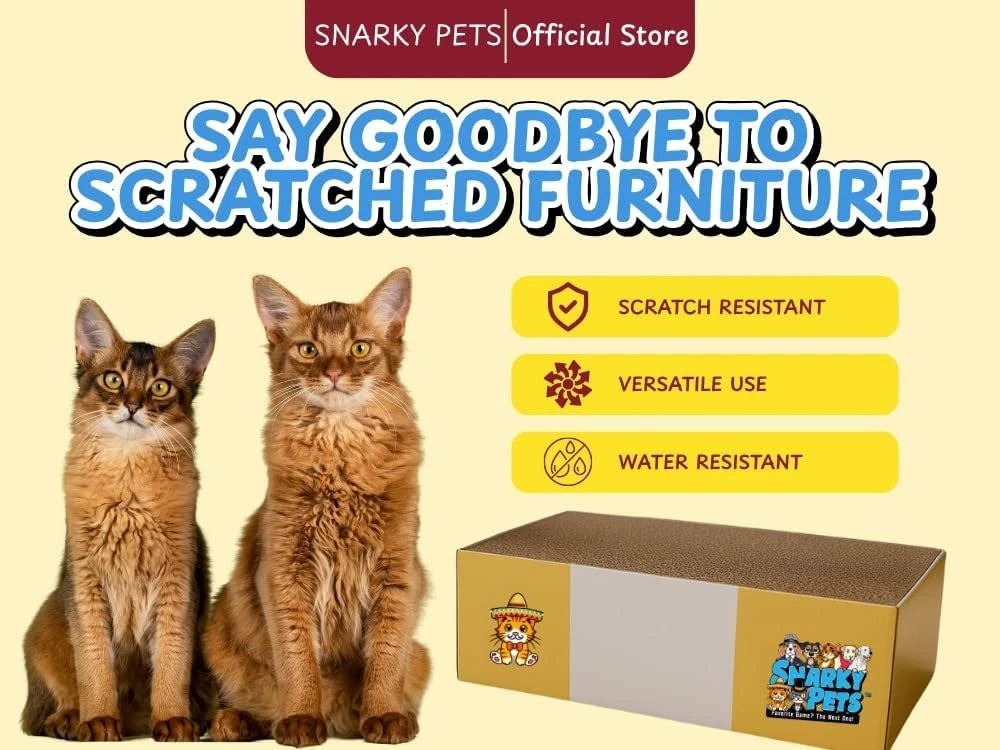 Timmy The Cat's Large Cat Scratcher Box Cardboard Scratch Pad Durable Cat Bed