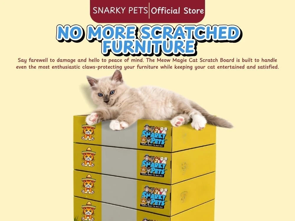 Timmy The Cat's Large Cat Scratcher Box Cardboard Scratch Pad Durable Cat Bed