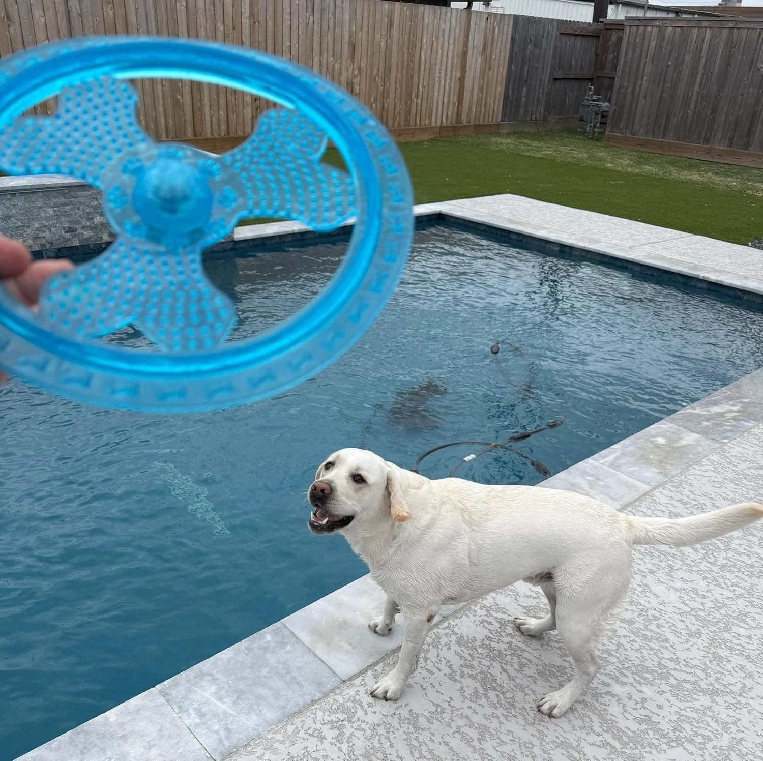 Rudy’s TPR Flying Disc Dog Toy w/ Center Ball Frisbee Pool Floats Chew Toys
