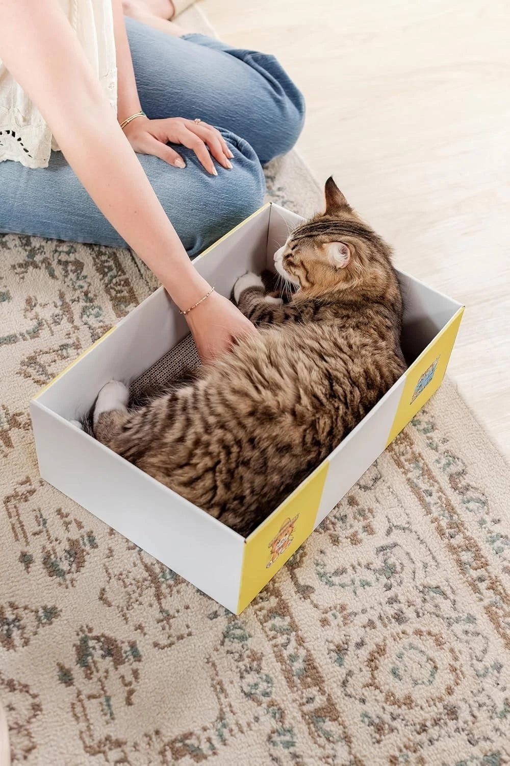 Timmy The Cat's Large Cat Scratcher Box Cardboard Scratch Pad Durable Cat Bed