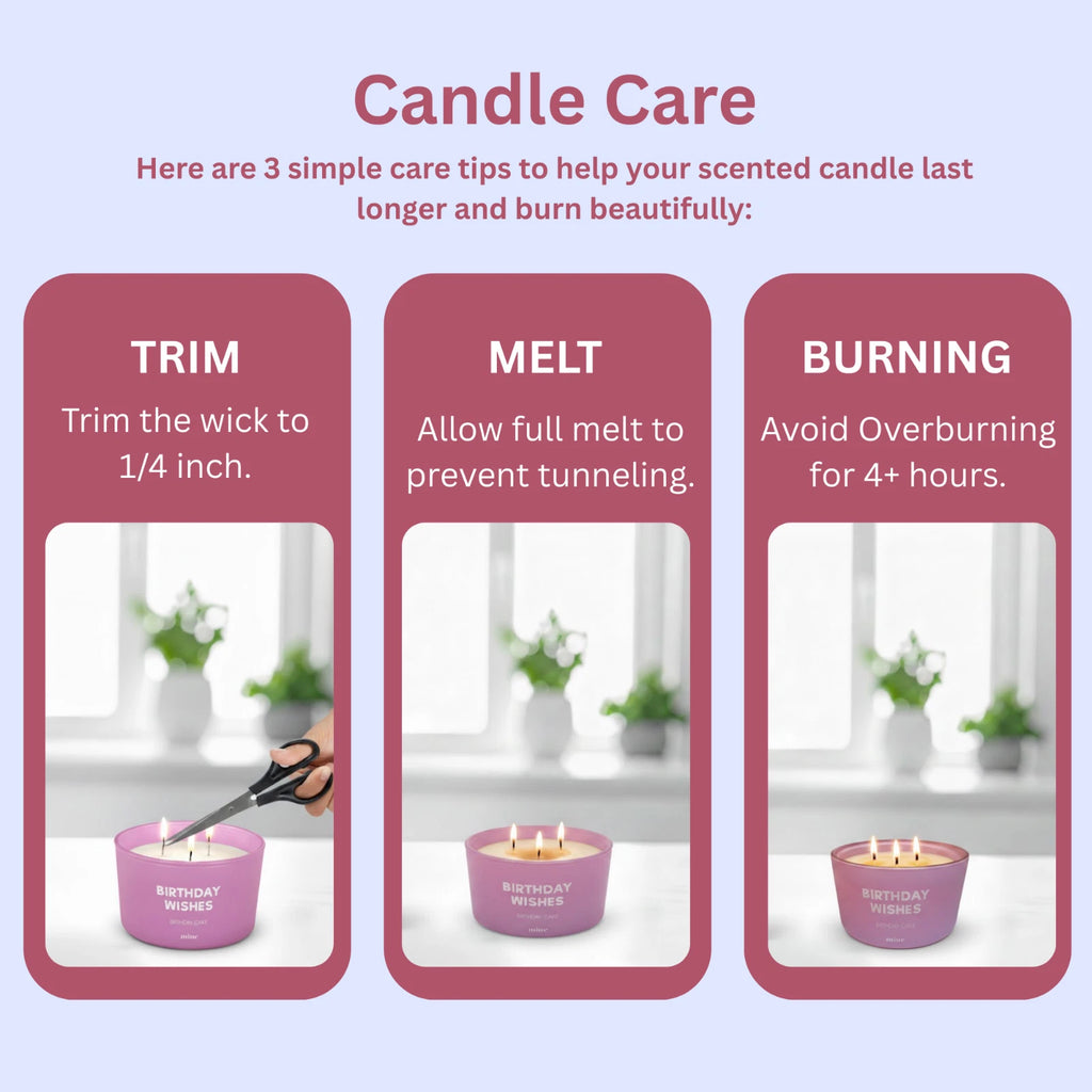 Birthday Cake Scented Soy Candle 3 Wick with Pink Gift Box