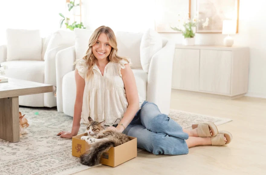 Sexy Liza's Cat Scratcher Box Cardboard Cat Scratch Pad Small Cat Lounge Bed