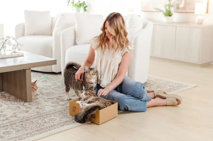 Sexy Liza's Cat Scratcher Box Cardboard Cat Scratch Pad Small Cat Lounge Bed