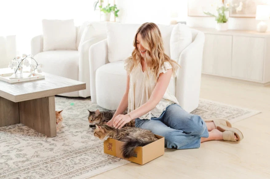 Sexy Liza's Cat Scratcher Box Cardboard Cat Scratch Pad Small Cat Lounge Bed